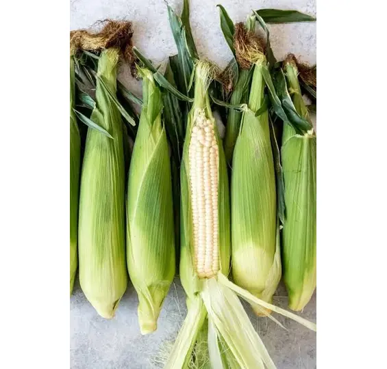 Corn Cob 1 kg (Bhutta)