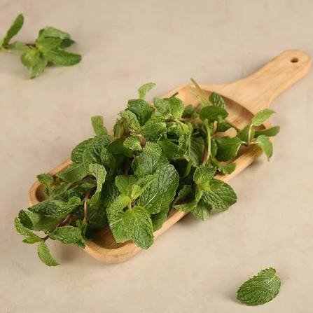 Mint without root 1 Pkt (Pudina)