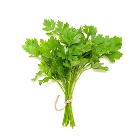 Coriander 100 Gram (Dhaniya)
